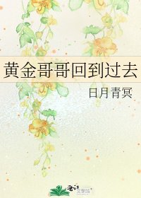 黄金哥哥回到过去